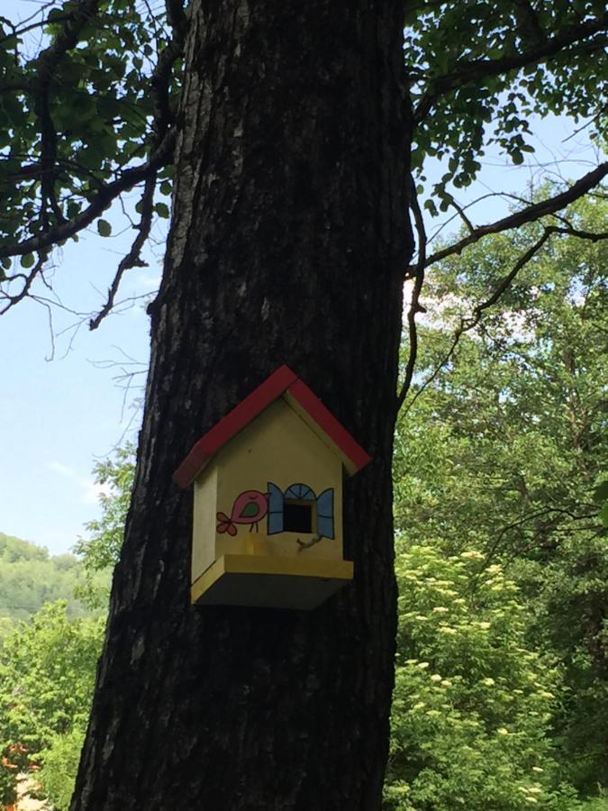 Eco Kutak Villa Mojkovac Kültér fotó