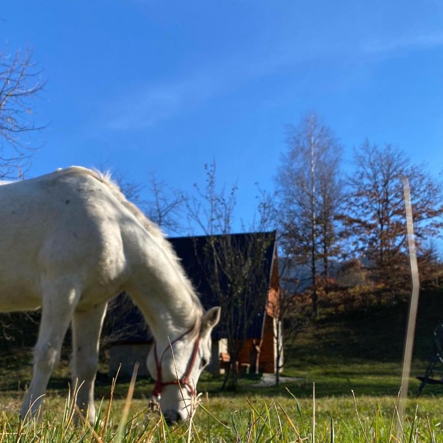 Eco Kutak Villa Mojkovac Kültér fotó