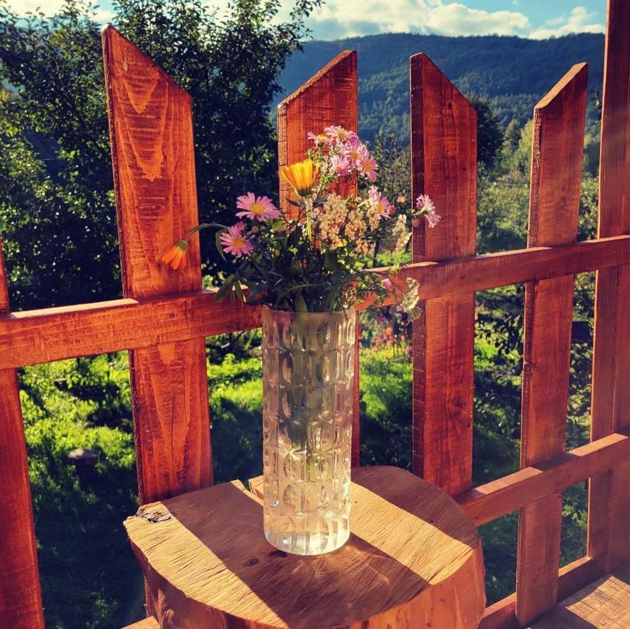 Eco Kutak Villa Mojkovac Kültér fotó