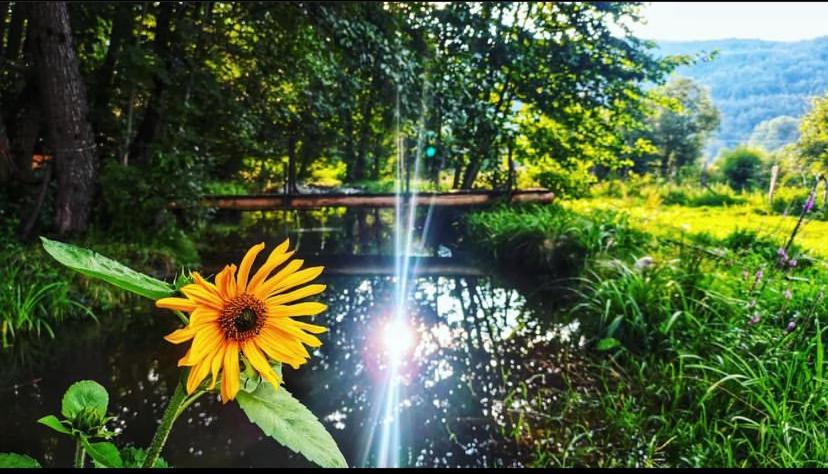Eco Kutak Villa Mojkovac Kültér fotó