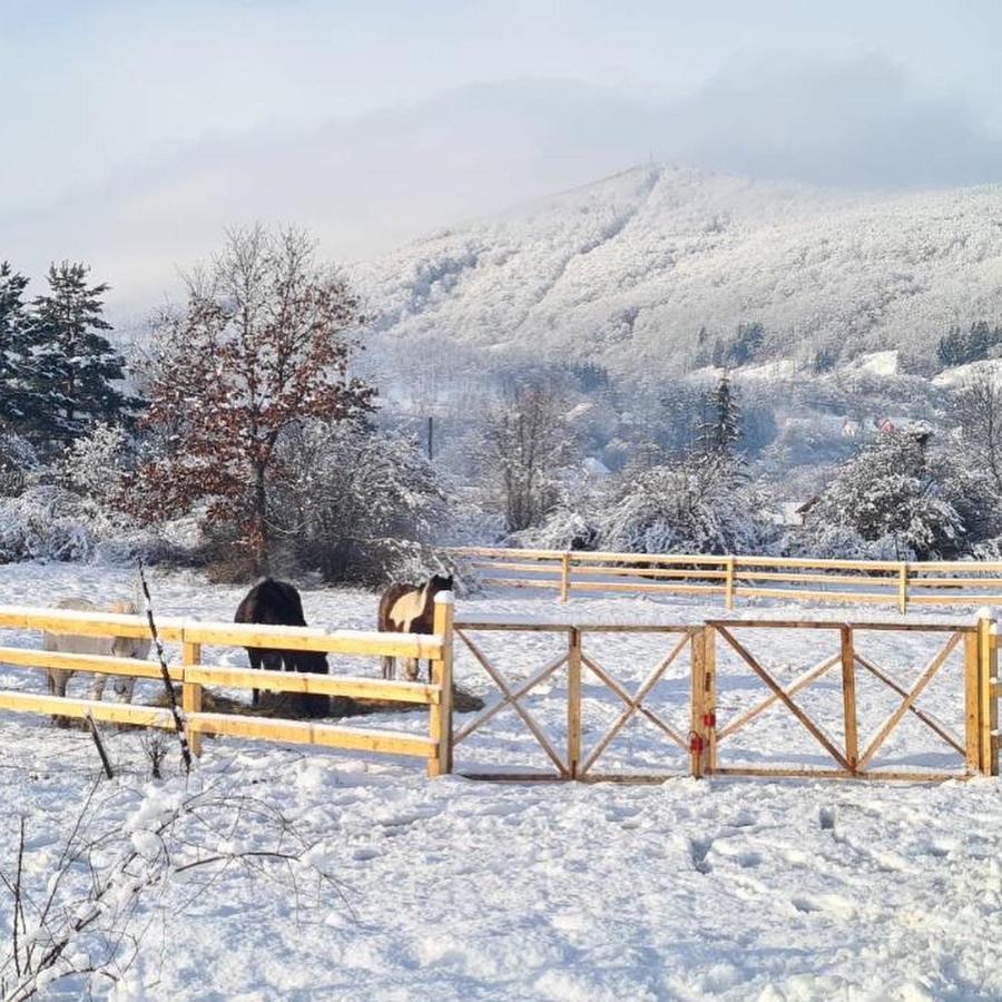 Eco Kutak Villa Mojkovac Kültér fotó